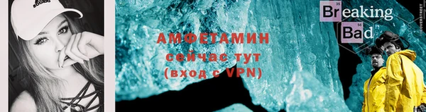 гидра Верхний Тагил