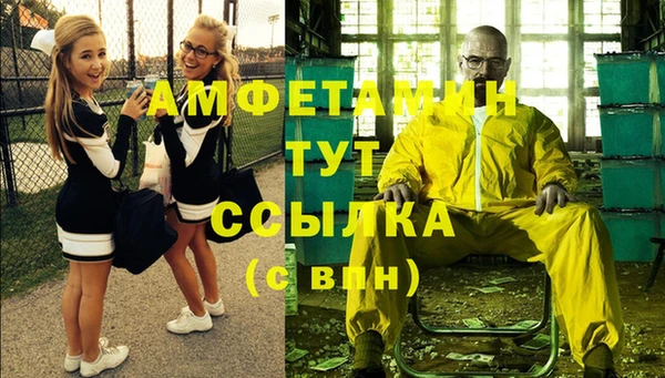гидра Верхний Тагил