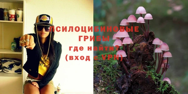 гидра Верхний Тагил