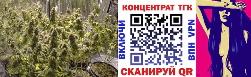 Купить закладки  Пересвет  ТГК вейп с тгк 