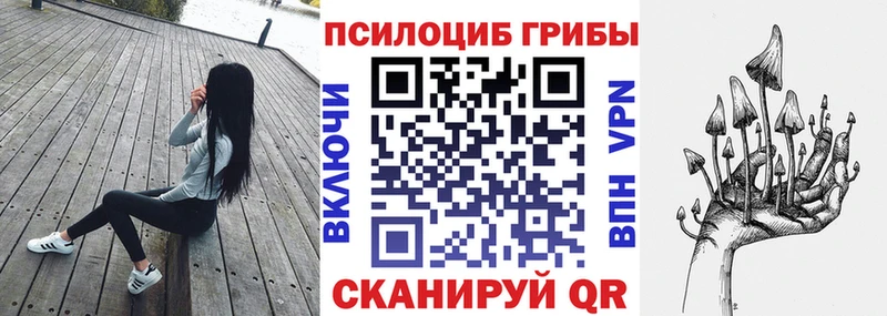 Купить закладки  Пересвет  Псилоцибиновые грибы прущие грибы 